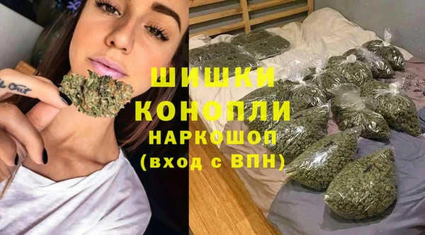 амф Арсеньев