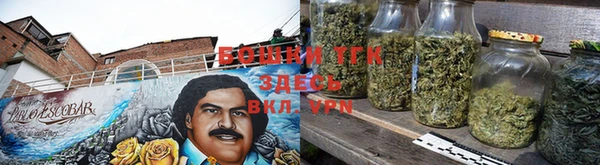 амф Арсеньев