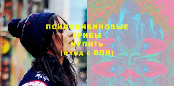 амф Арсеньев